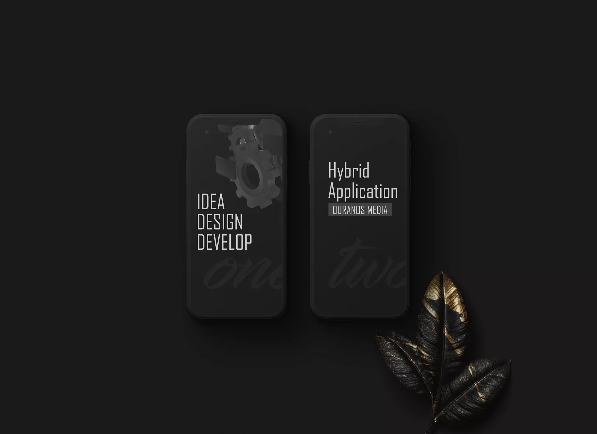 Hybrid Application Development