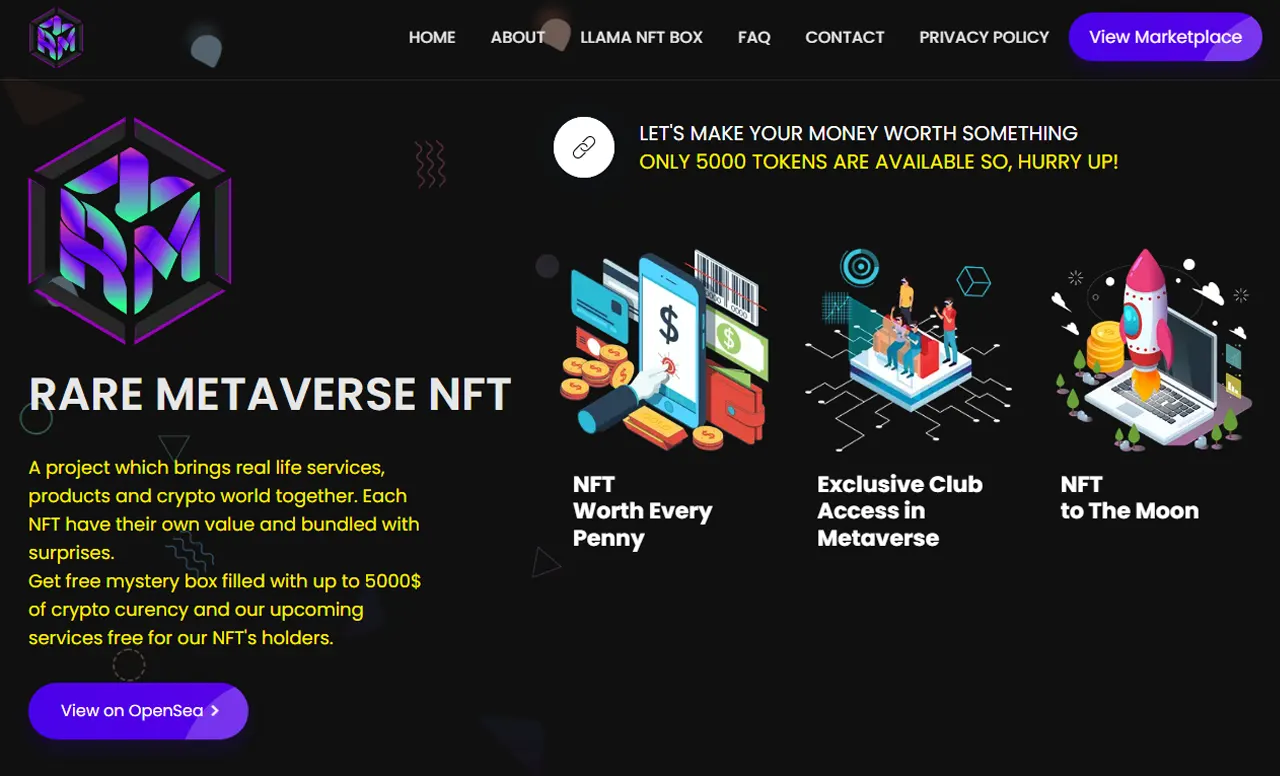 NFT Website