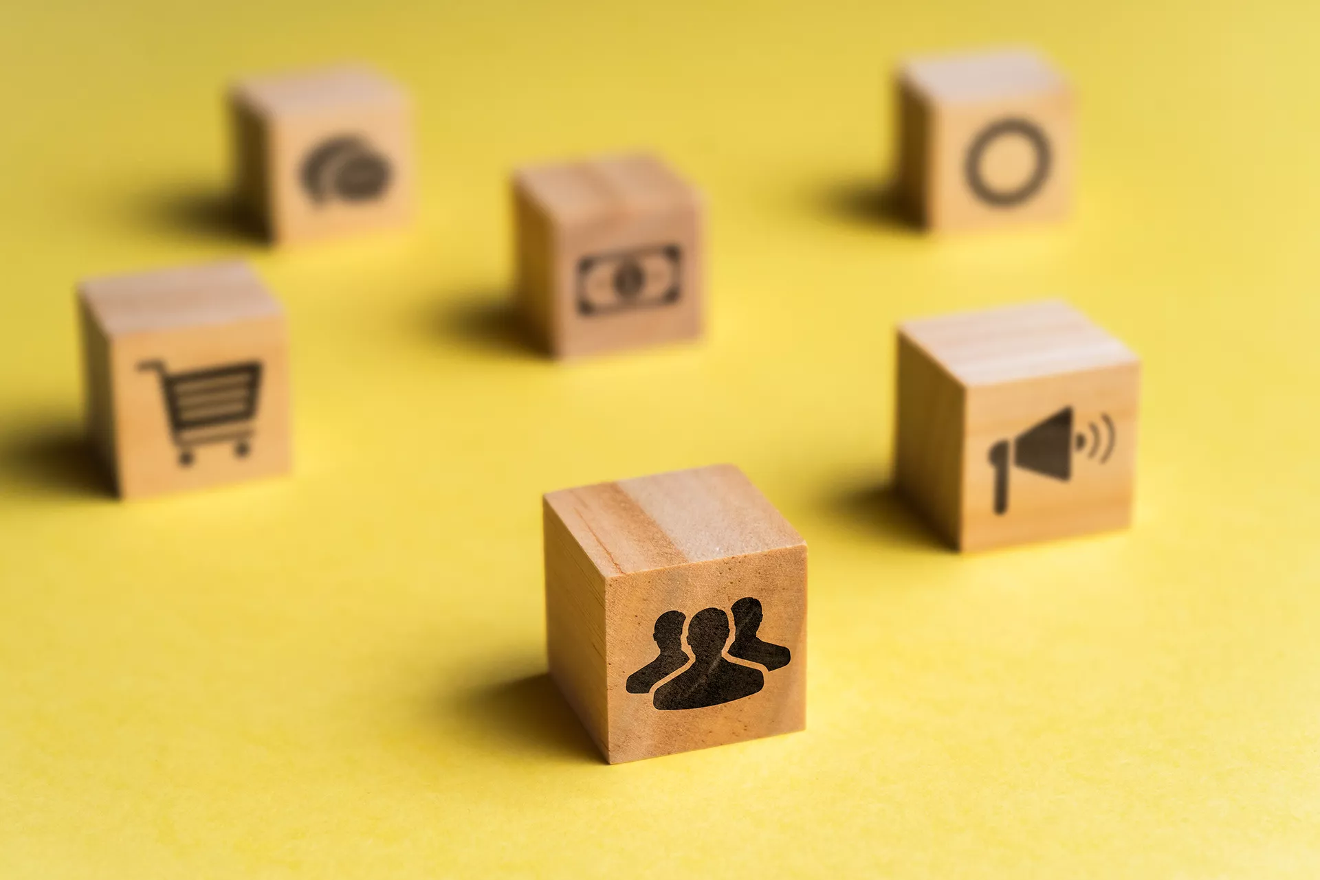 CRM and ERP Solutions